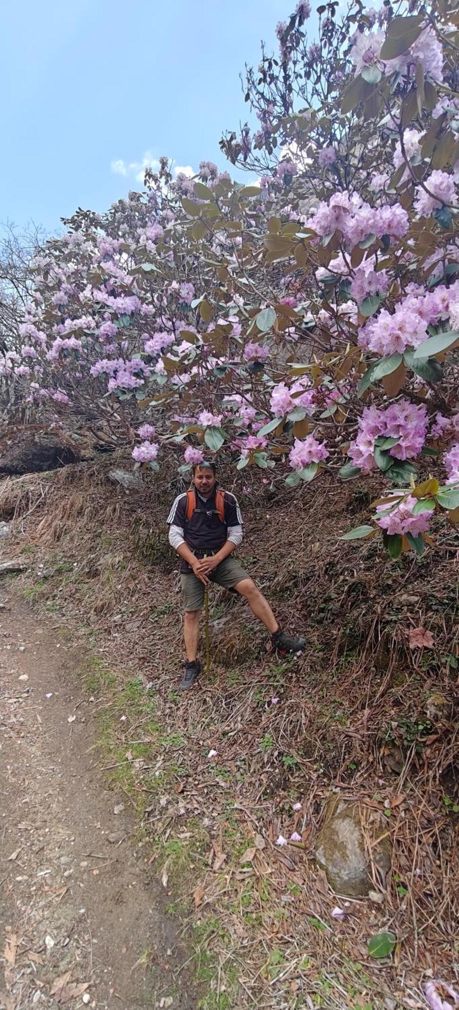 מלון Hawalbagh Rudra Retreat מראה חיצוני תמונה